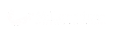 https://vanhooser.com/wp-content/uploads/2025/08/Millennium.png