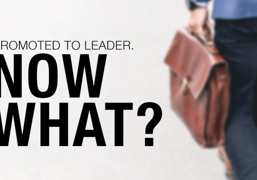 promoted to leader. Now What?